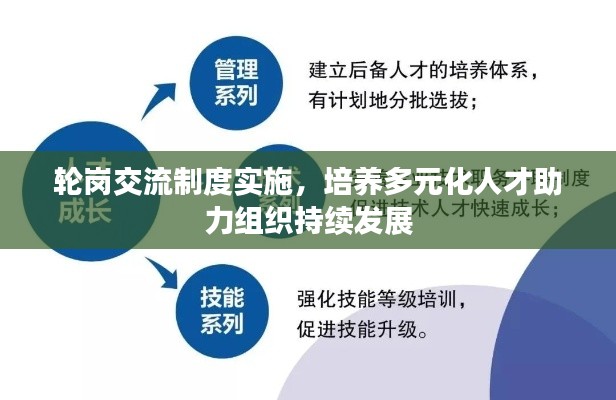 轮岗交流制度实施,培养多元化人才助力组织持续发展
