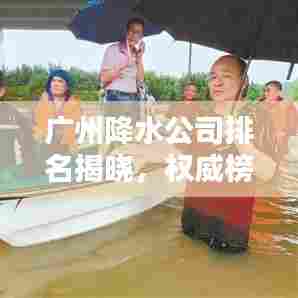 广州降水公司排名揭晓,权威榜单,专业实力一目了然