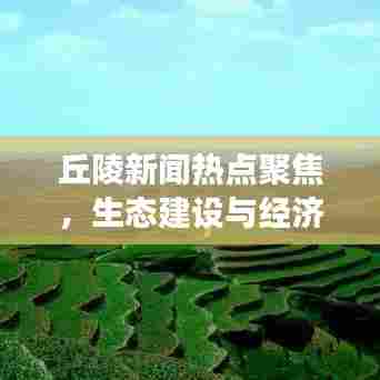 丘陵新闻热点聚焦,生态建设与经济发展同步推进