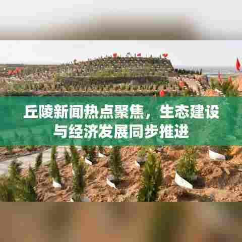 丘陵新闻热点聚焦,生态建设与经济发展同步推进