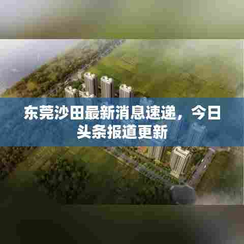 东莞沙田最新消息速递,今日头条报道更新