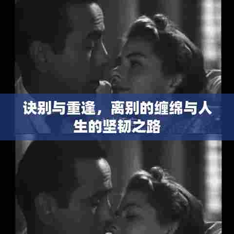 诀别与重逢,离别的缠绵与人生的坚韧之路