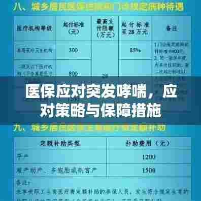 医保应对突发哮喘,应对策略与保障措施