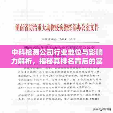 中科检测公司行业地位与影响力解析,揭秘其排名背后的实力与成就
