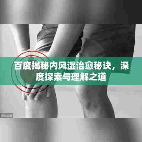 百度揭秘内风湿治愈秘诀,深度探索与理解之道