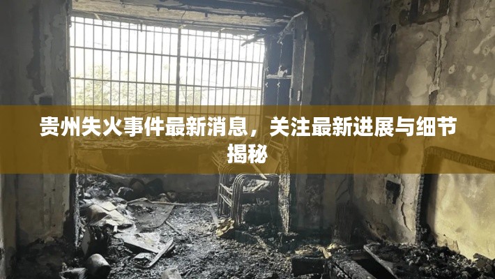 贵州失火事件最新消息,关注最新进展与细节揭秘