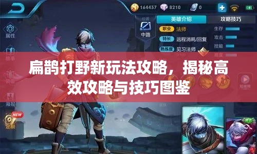 扁鹊打野新玩法攻略,揭秘高效攻略与技巧图鉴