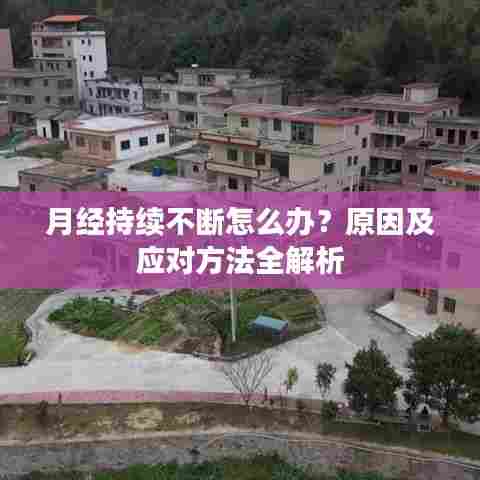 秀外慧中 第4页