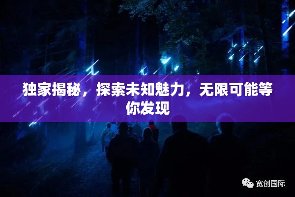 独家揭秘,探索未知魅力,无限可能等你发现