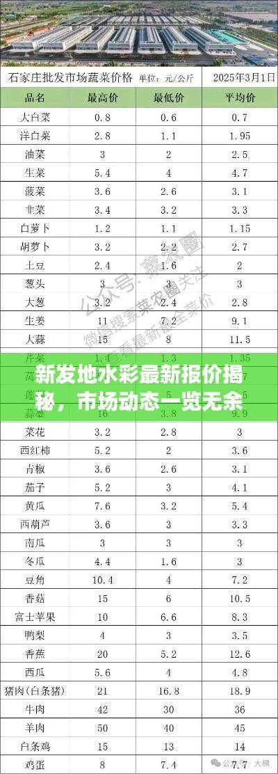 新发地水彩最新报价揭秘,市场动态一览无余!