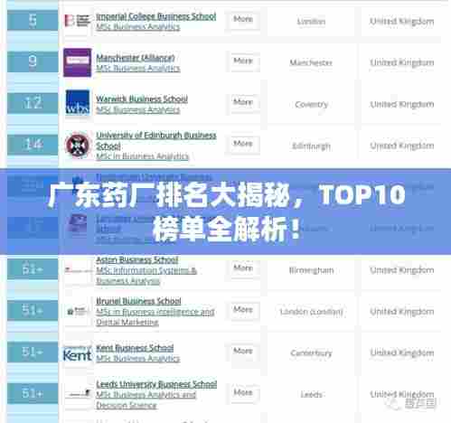 广东药厂排名大揭秘，TOP10榜单全解析！