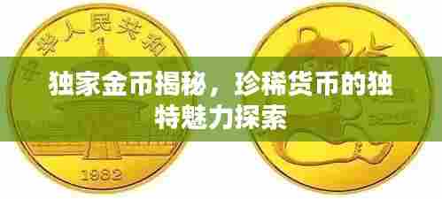 独家金币揭秘,珍稀货币的独特魅力探索