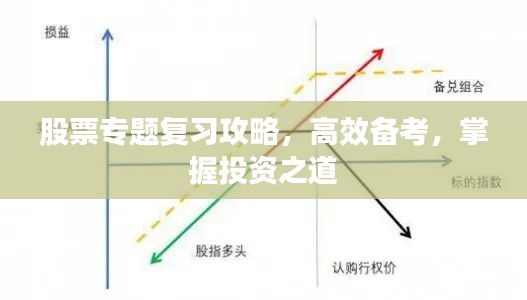 股票专题复习攻略,高效备考,掌握投资之道