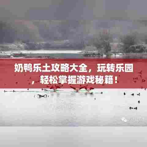 奶鸭乐土攻略大全，玩转乐园，轻松掌握游戏秘籍！