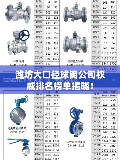 潍坊大口径球阀公司权威排名榜单揭晓！