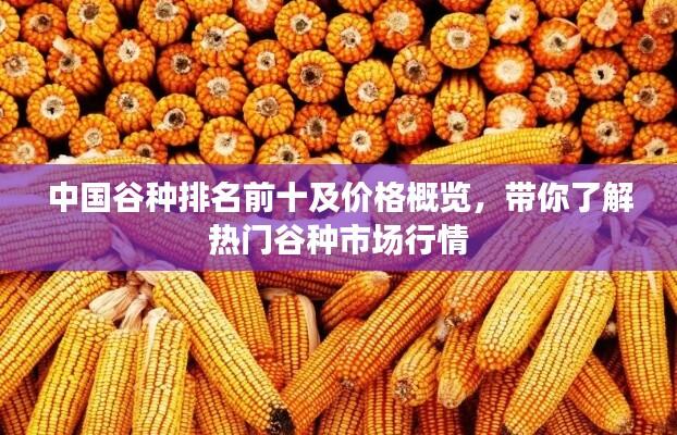 中国谷种排名前十及价格概览，带你了解热门谷种市场行情