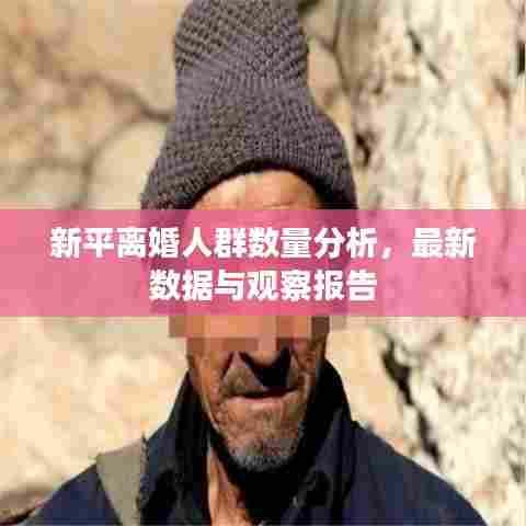 新平离婚人群数量分析,最新数据与观察报告
