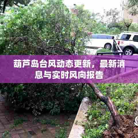 心慌意乱 第6页