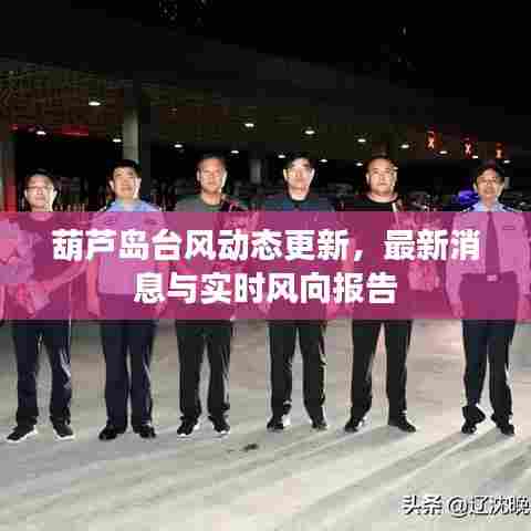 葫芦岛台风动态更新,最新消息与实时风向报告