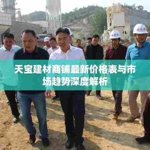 天宝建材商铺最新价格表与市场趋势深度解析