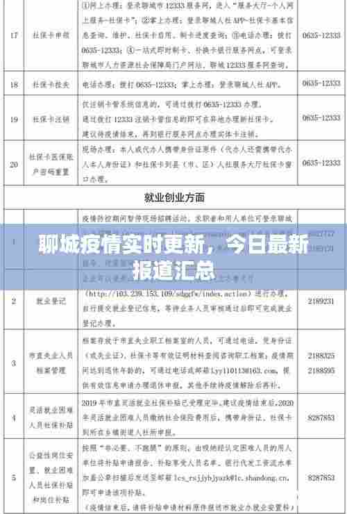聊城疫情实时更新，今日最新报道汇总