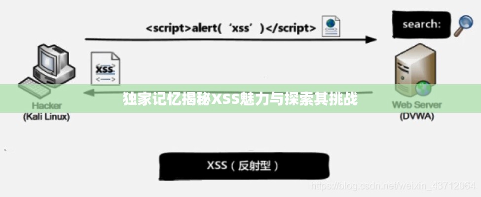 独家记忆揭秘XSS魅力与探索其挑战