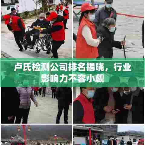 卢氏检测公司排名揭晓,行业影响力不容小觑