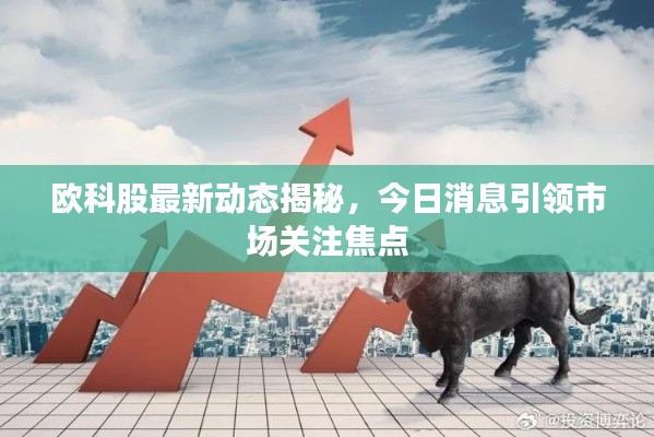 欧科股最新动态揭秘,今日消息引领市场关注焦点