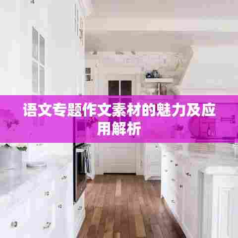 语文专题作文素材的魅力及应用解析