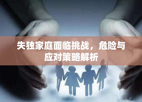失独家庭面临挑战,危险与应对策略解析