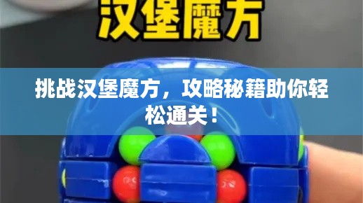 挑战汉堡魔方,攻略秘籍助你轻松通关!