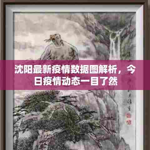 沈阳最新疫情数据图解析,今日疫情动态一目了然