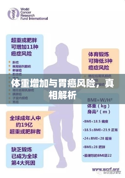 体重增加与胃癌风险,真相解析