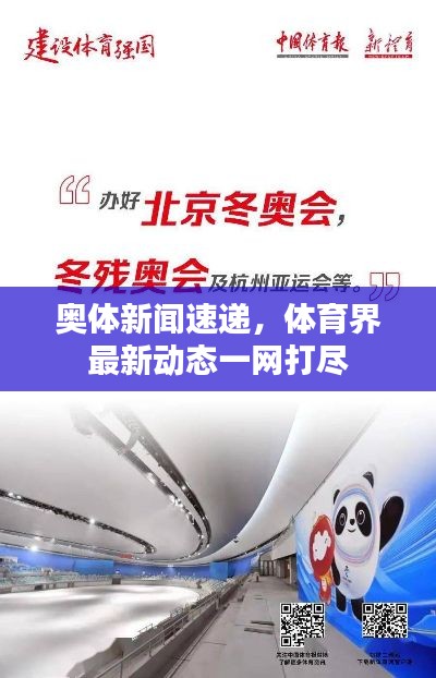 奥体新闻速递,体育界最新动态一网打尽
