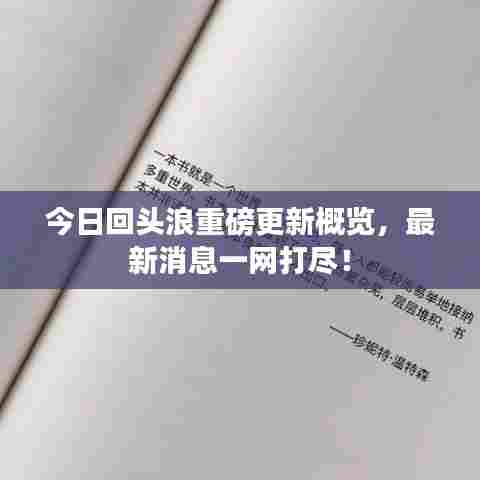 今日回头浪重磅更新概览,最新消息一网打尽!