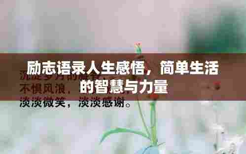 励志语录人生感悟,简单生活的智慧与力量