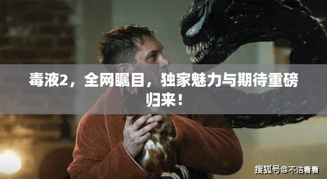 毒液2,全网瞩目,独家魅力与期待重磅归来!