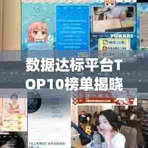 数据达标平台TOP10榜单揭晓，引领行业发展的佼佼者