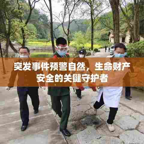 突发事件预警自然,生命财产安全的关键守护者