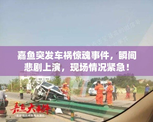 嘉鱼突发车祸惊魂事件，瞬间悲剧上演，现场情况紧急！