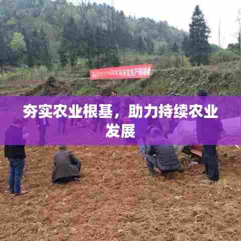 夯实农业根基，助力持续农业发展