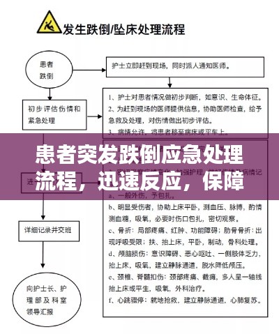 患者突发跌倒应急处理流程,迅速反应,保障安全