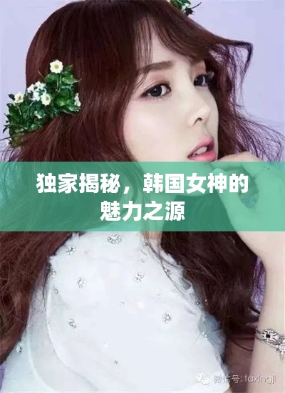 独家揭秘，韩国女神的魅力之源