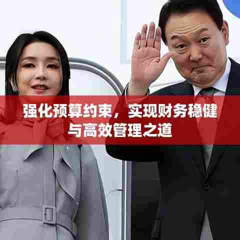 强化预算约束,实现财务稳健与高效管理之道