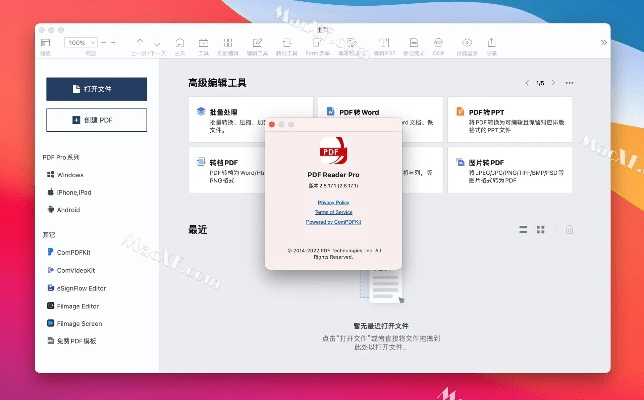 pdf阅读器版本,实效策略分析&amp;经典款_v4.934