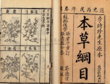 电子版本草纲目,迅捷解答方案实施_苹果款1_v7.544——行业标杆的卓越之选