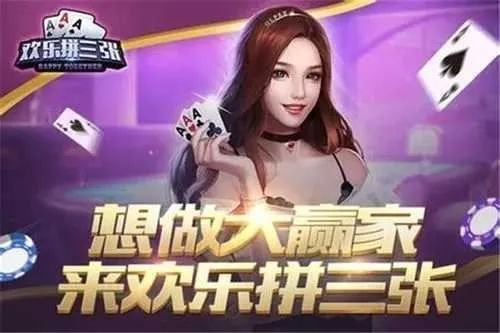 土豪拼三张旧版本,专家说明意见 专业版_v6.171