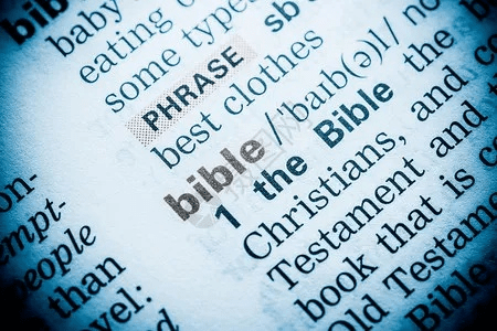 圣经官方免费下载,前沿解答解释定义_QHD_v1.918